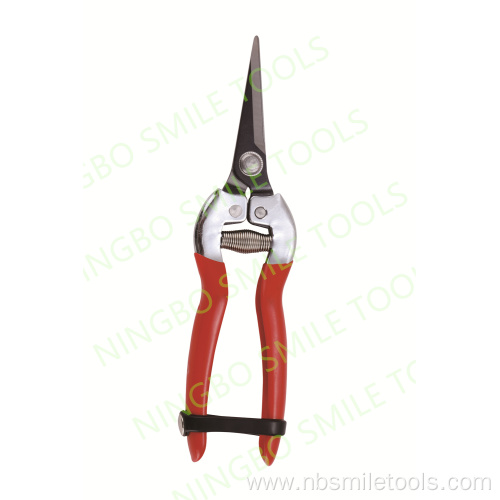 Mexico popular pruning fruit picking scissors thin fruit branch scissors gardening garden scissors straight elbow shears tree br